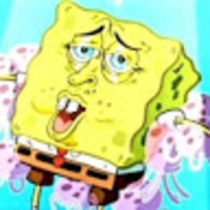 Meet your Posher, Misty